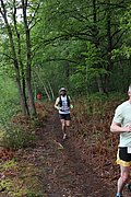 IMG_4309.jpg