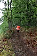 IMG_4313.jpg