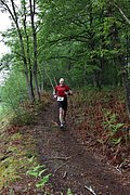 IMG_4325.jpg