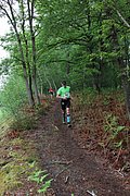 IMG_4327.jpg