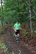 IMG_4328.jpg