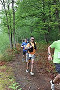 IMG_4338.jpg