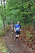 IMG_4340.jpg