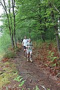 IMG_4380.jpg