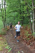 IMG_4382.jpg