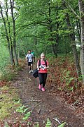 IMG_4385.jpg