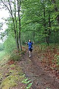 IMG_4396.jpg