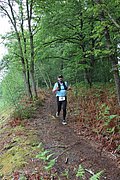 IMG_4401.jpg