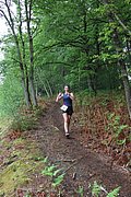 IMG_4417.jpg