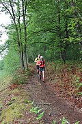 IMG_4430.jpg