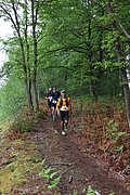 IMG_4444.jpg