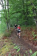 IMG_4463.jpg