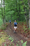 IMG_4468.jpg
