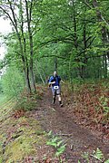 IMG_4474.jpg