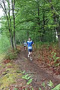 IMG_4480.jpg