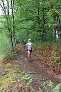 IMG_4482.jpg