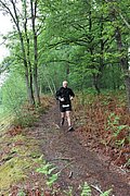 IMG_4501.jpg