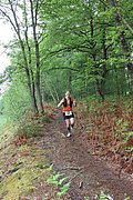 IMG_4533.jpg