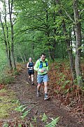 IMG_4537.jpg
