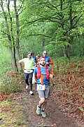 IMG_4575.jpg