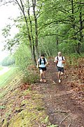 IMG_4623.jpg