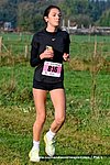 Dsc 0246.jpg