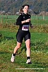 Dsc 0263.jpg