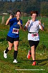 Dsc 0362.jpg