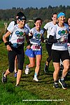 Dsc 0536.jpg