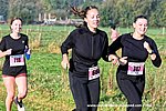 Dsc 0579.jpg