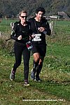 Dsc 1261.jpg