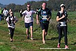 Dsc 1308.jpg