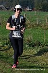 Dsc 1310.jpg
