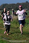 Dsc 1311.jpg