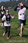 Dsc 1315.jpg