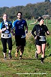 Dsc 1382.jpg