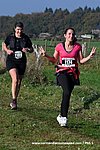 Dsc 1552.jpg