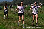 Dsc 1674.jpg