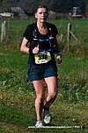 Dsc 1996.jpg