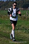 Dsc 2000.jpg