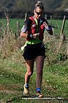 Dsc 2340.jpg