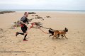 IMG_0137_1