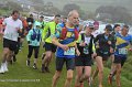 IMG_0398