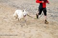 IMG_1565