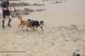 IMG_2292