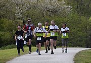 _DSC0529.jpg
