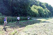 IMG_5803.jpeg.jpg