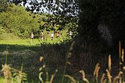 IMG_5838.jpeg.jpg