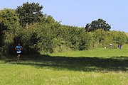 IMG_5859.jpeg.jpg