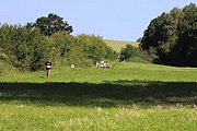 IMG_5893.jpeg.jpg